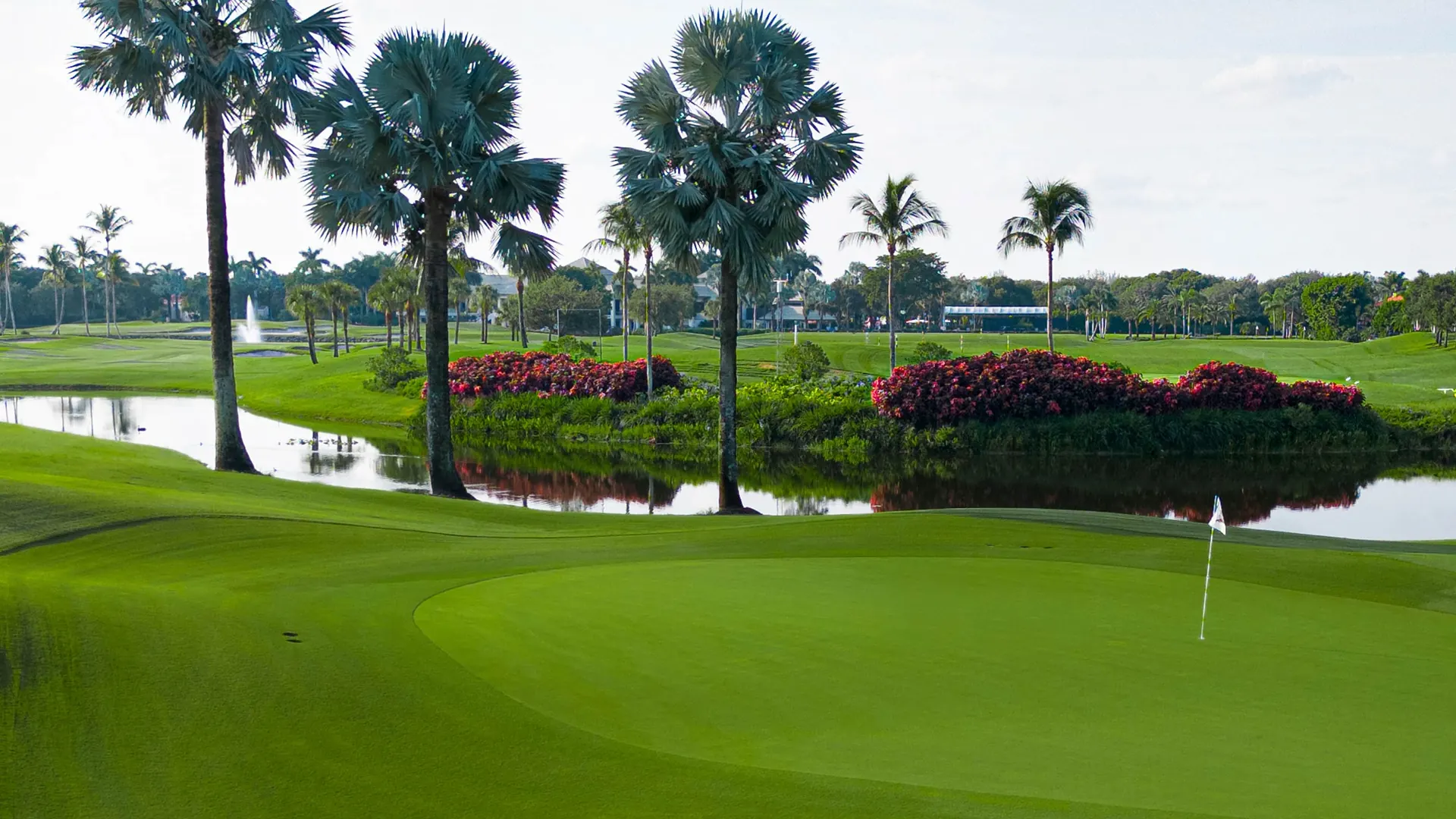 Boca Grove golf course fairway and greens